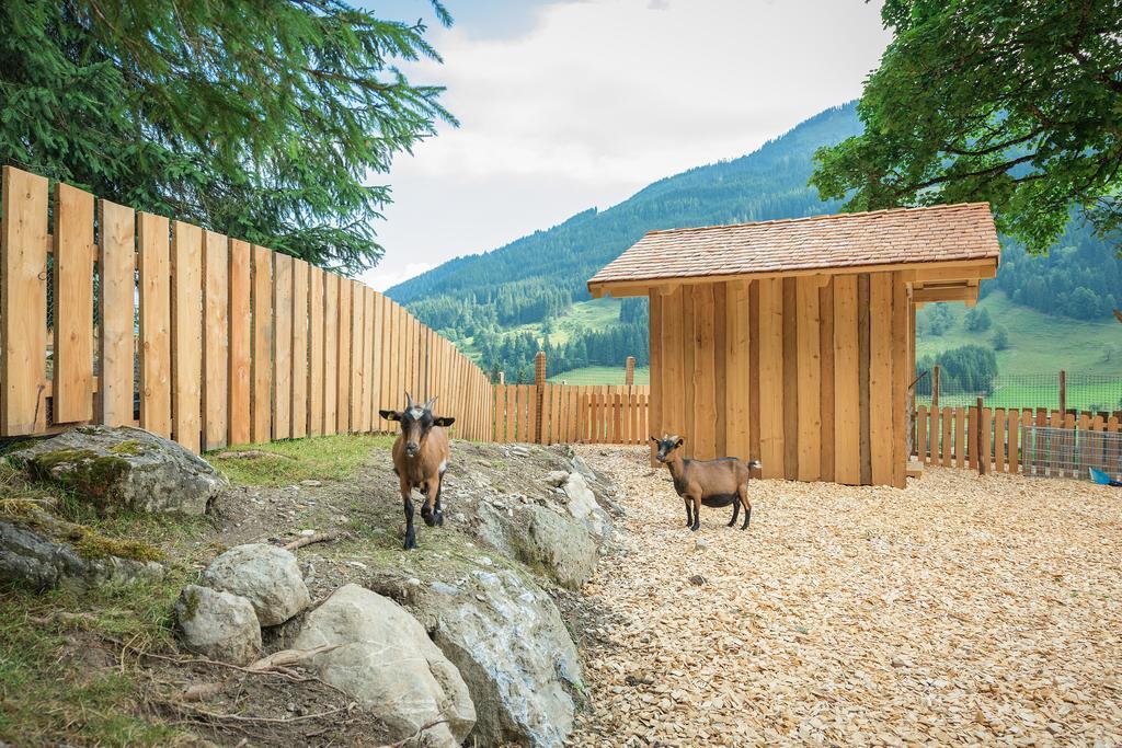 Apartament Stockhambauer Kleinarl Zewnętrze zdjęcie